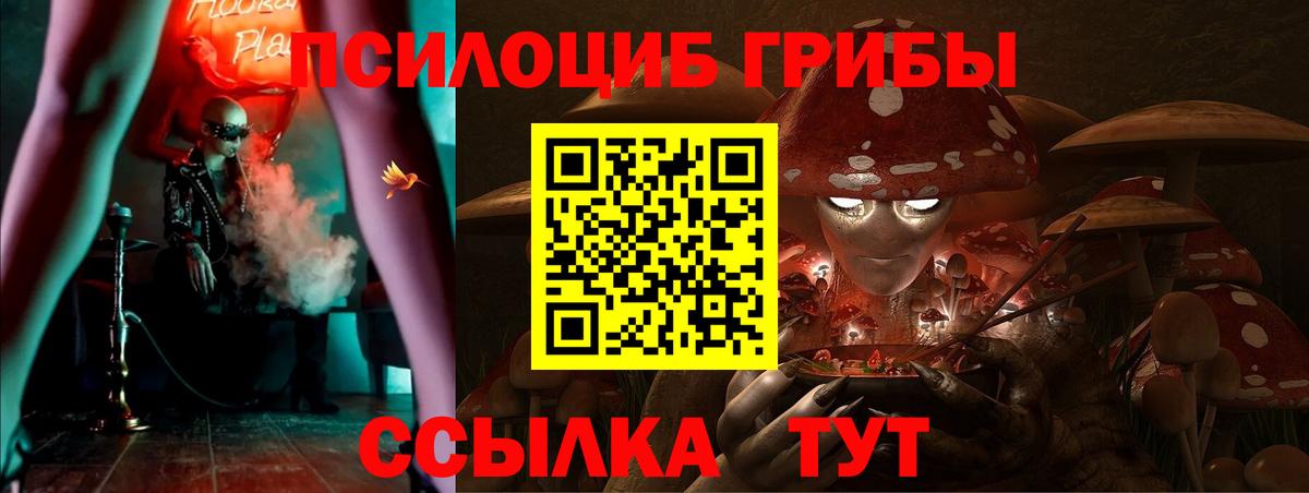 Галлюциногенные грибы Psilocybe Ялта